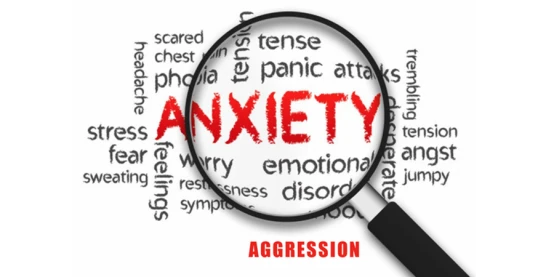phenibut anxiety