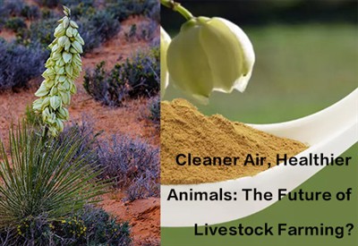 Cleaner Air, Healthier Animals Lavni nan agrikilti bèt