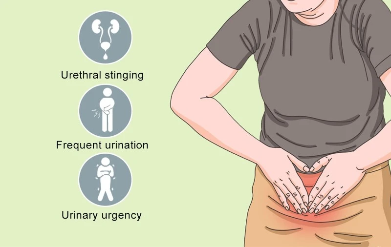 Urinary tract infection Urinary tract infection